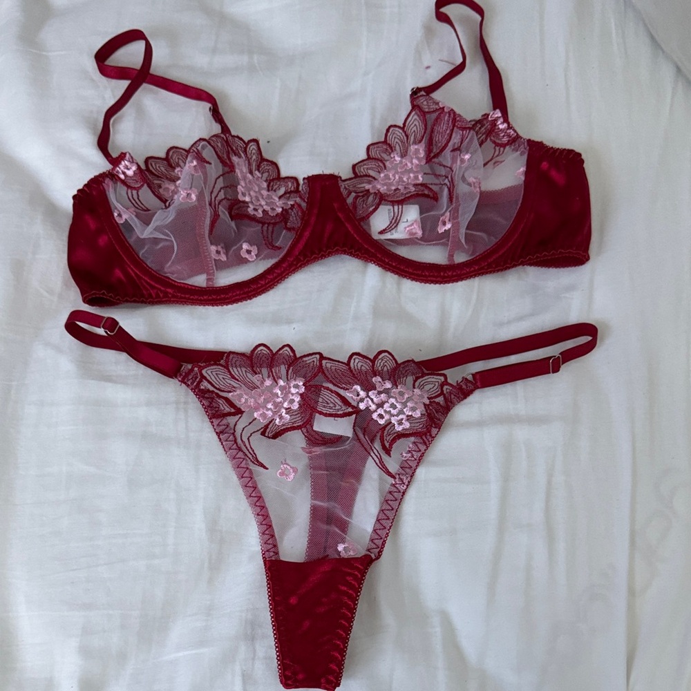 Sheer Floral Embroidered Burgundy Lace Bra & Thong Set